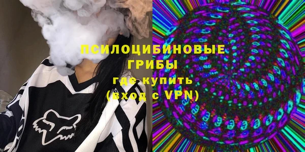 шишки Волоколамск