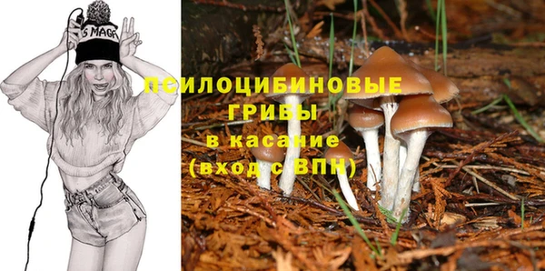 шишки Волоколамск