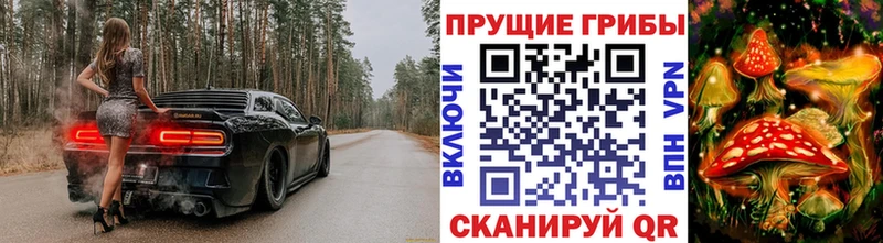 Купить  Кувандык  Галлюциногенные грибы ЛСД 